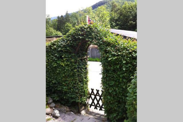 Apartmán Haus Tulpe Strobl Exteriér fotografie